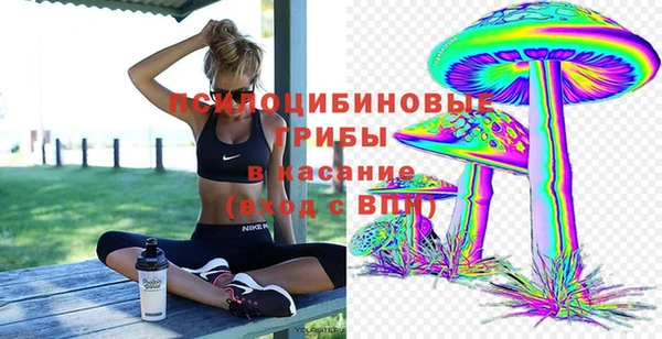 прущие крисы Нея