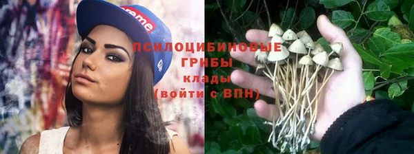прущие крисы Нея