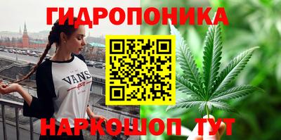 каннабис Аргун