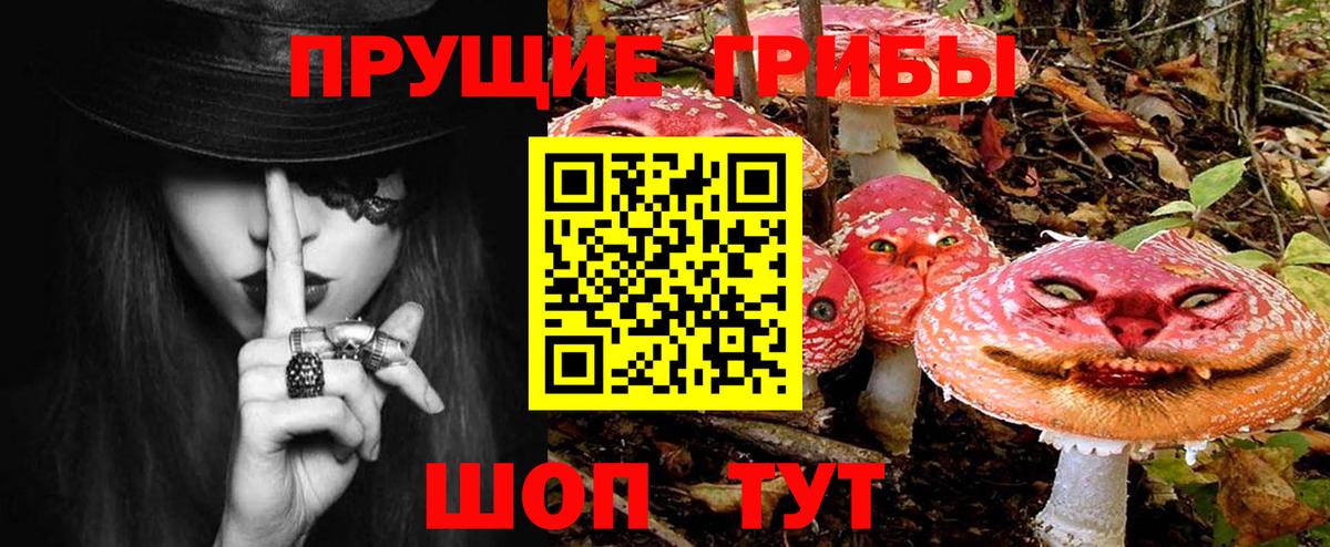 Белогорск  Псилоцибиновые грибы GOLDEN TEACHER  Вход с VPN 